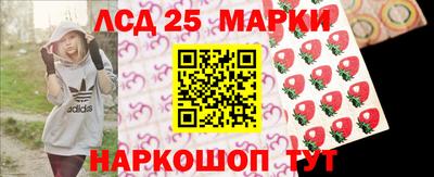 гидра Будённовск