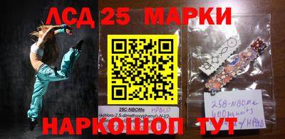гидра Будённовск