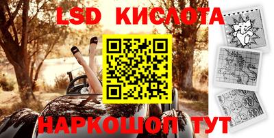 гидра Будённовск