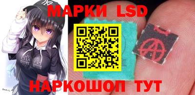 гидра Будённовск