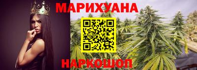 гидра Будённовск