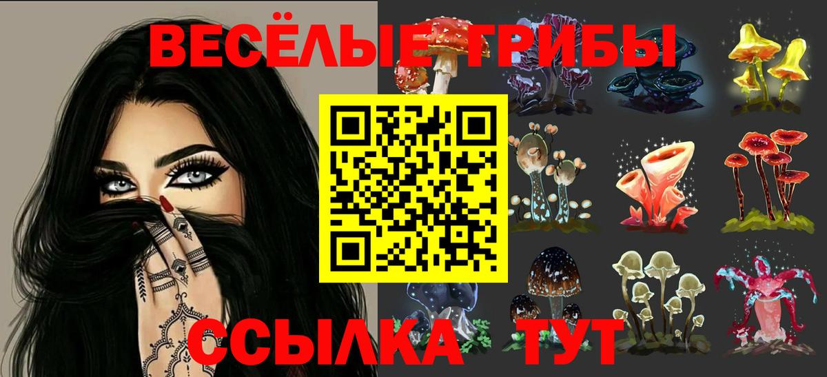 Псилоцибиновые грибы Cubensis Октябрьский