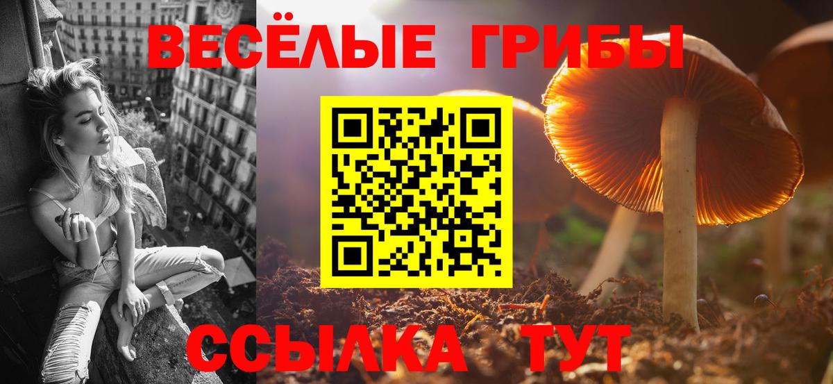 Октябрьский  Галлюциногенные грибы GOLDEN TEACHER  Вход с VPN 